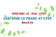 Giải Sinh 12 trang 47 Chân trời Sáng tạo